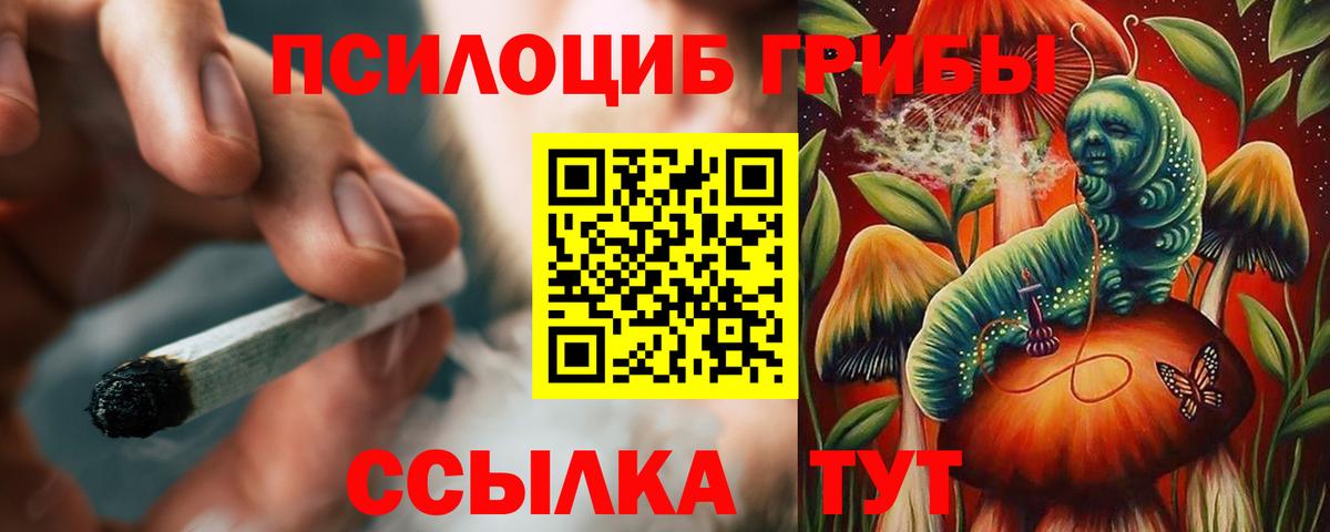 Псилоцибиновые грибы Psilocybe  закладки  Алапаевск  Вход с VPN 